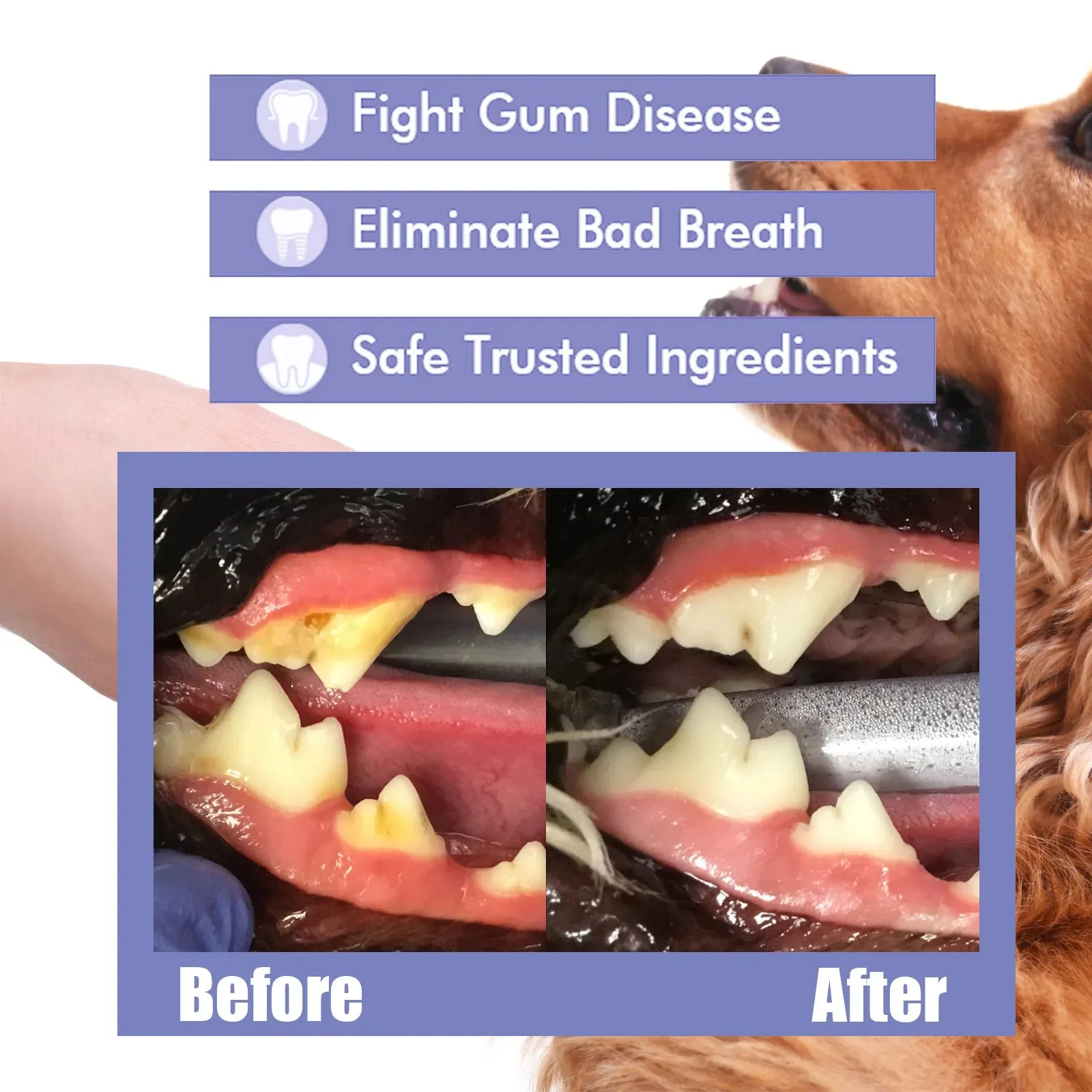 Pet Oral Cleanse Spray Mouth Fresh Whitening Teeth Deodorant Prevent Calculus Dental Plaque Removal Dogs Teeth Cleaning Spray