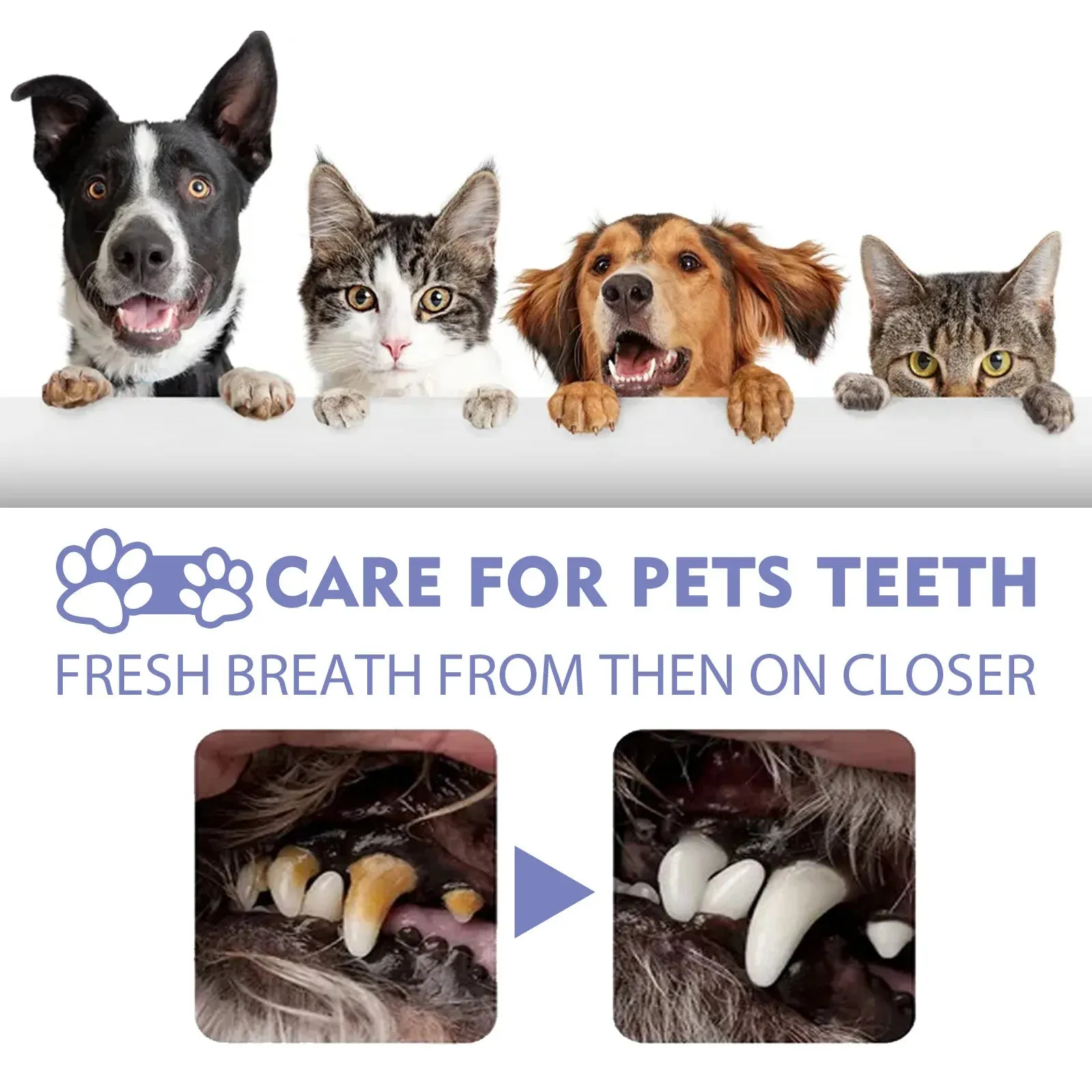 Pet Oral Cleanse Spray Mouth Fresh Whitening Teeth Deodorant Prevent Calculus Dental Plaque Removal Dogs Teeth Cleaning Spray