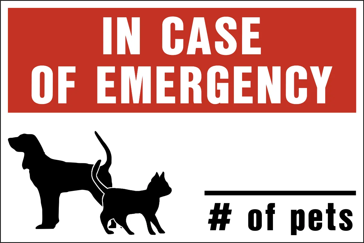 Pet Safety-A