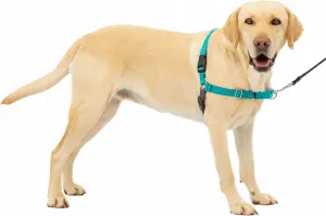 PetSafe Easy Walk NoPull Dog Harness Large TealGray