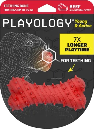 Playology Puppy Teething Bone Dog Toy for Young & Active Dogs | Engaging All-Natural Beef Scented Small Sized Chew Toy with Squeaker for Puppies up to 25lbs