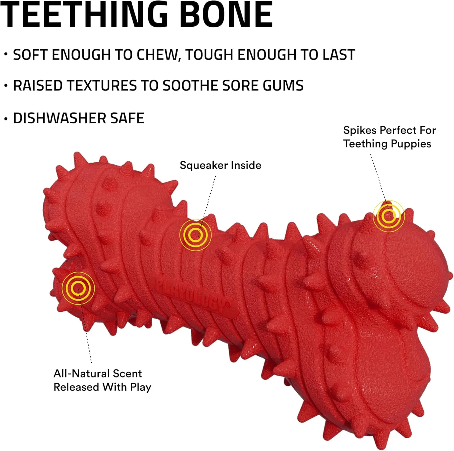 Playology Puppy Teething Bone Dog Toy for Young & Active Dogs | Engaging All-Natural Beef Scented Small Sized Chew Toy with Squeaker for Puppies up to 25lbs