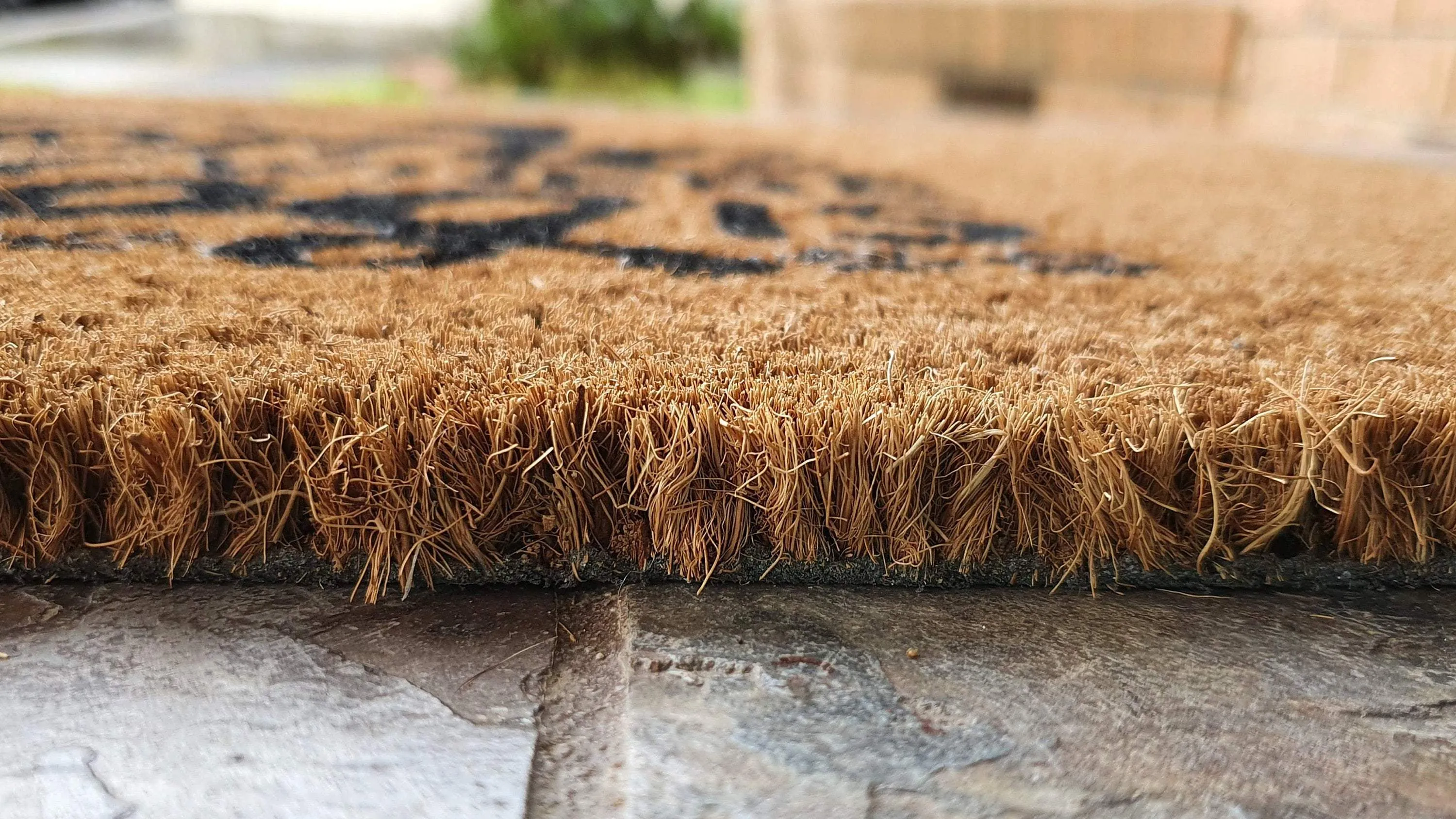 "Home is Where the Dog Is" Coir Dog Doormat