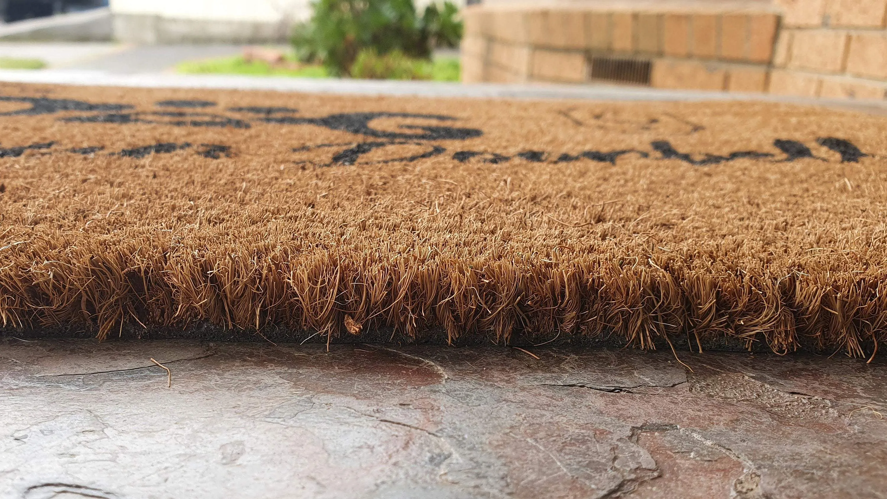 "The Dog is Our Doorbell" Coir Dog Doormat
