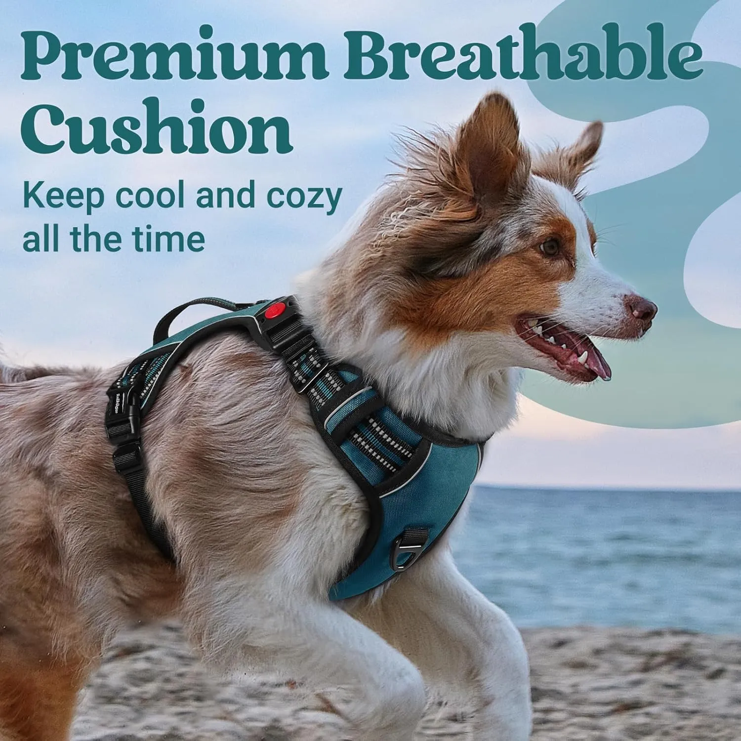 rabbitgoo Dog Harness Medium Sized, No Pull Pet Harness with Soft Padded Handle, Adjustable Reflective Vest with 3 Buckles, Easy Walking Harness with 2 Leash Clips, Green, XL
