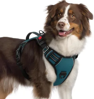 rabbitgoo Dog Harness Medium Sized, No Pull Pet Harness with Soft Padded Handle, Adjustable Reflective Vest with 3 Buckles, Easy Walking Harness with 2 Leash Clips, Green, XL