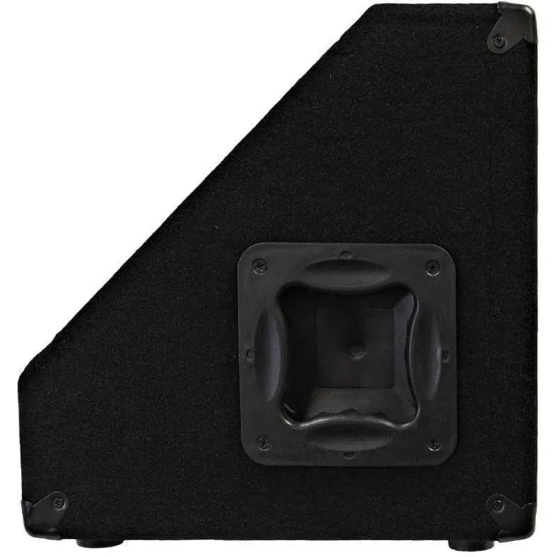 SA-10MX Pair of 10" Floor Monitors with Titanium Horns
