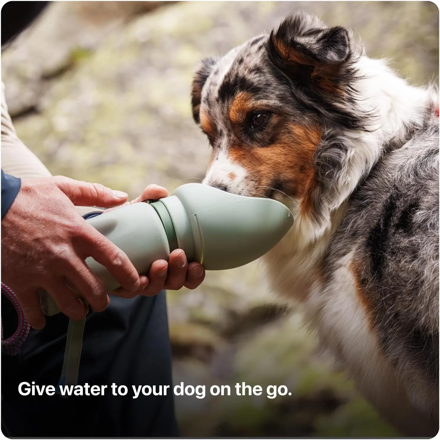SKER Portable Dog Water Bottle, Collapsible Water Bottle for Dogs Perfect for Walking, Hiking and Outdoors | Works as a Portable Water Bowl | Designed in Montreal - 550ml