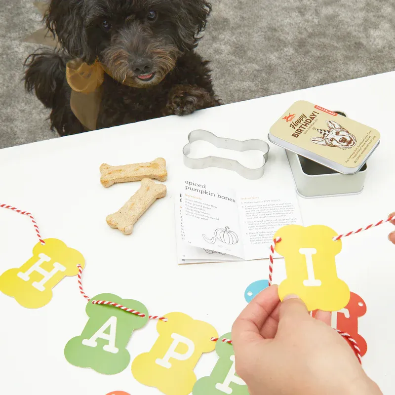 Tin Dog Kit