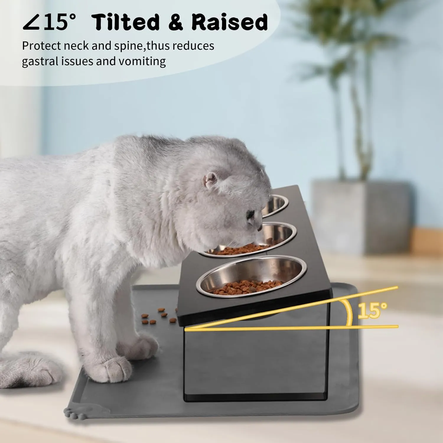 Upgraded Elevated Cat Bowls with Food Mat,15Tilted Stand Anti Vomiting Raised Cat Dishes for Food and Water,3 Stainless Steel Bowls for Cats and PuppyBlack