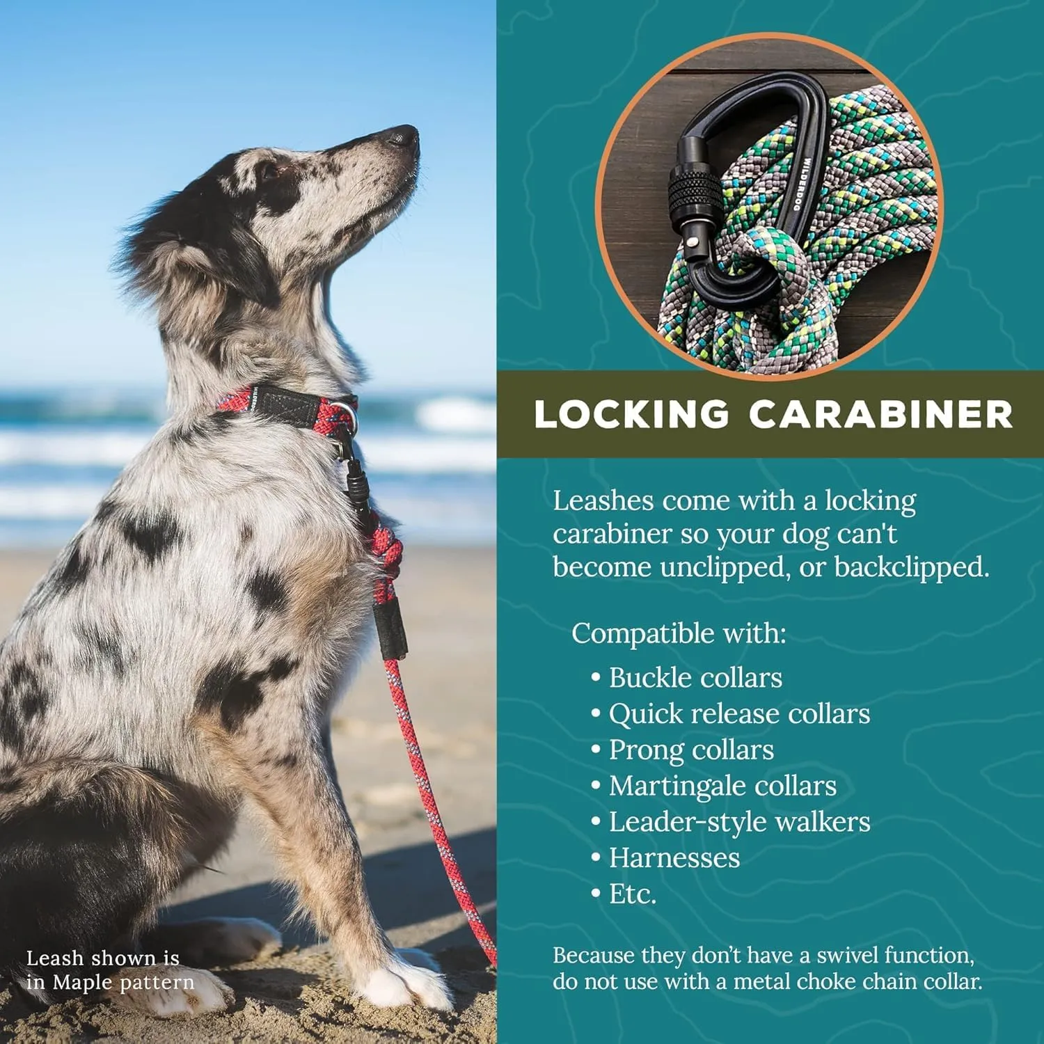 Wilderdog Carabiner Climbing Rope Dog Leash for Medium & Large Dogs - 5ft - Cascade