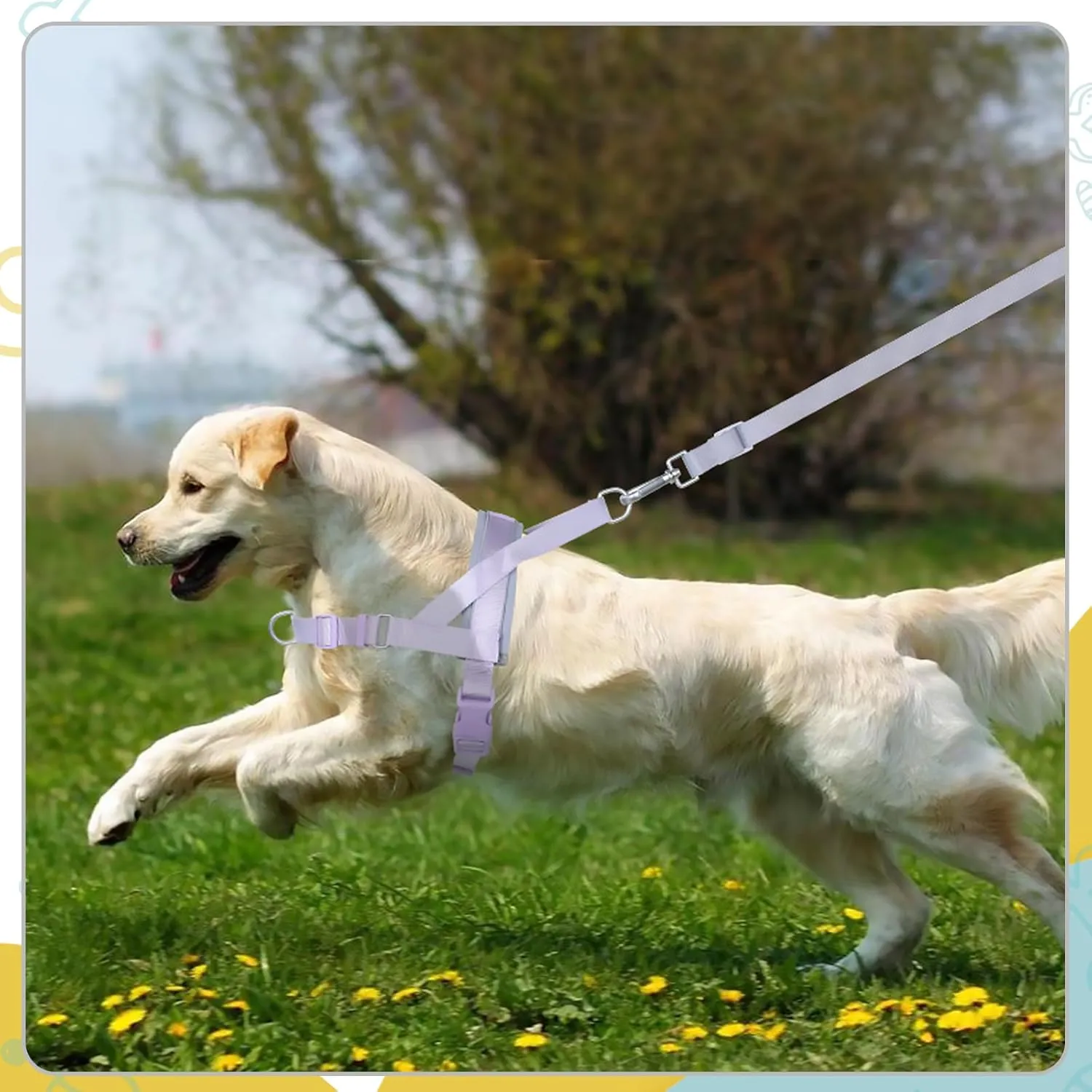 Wisedog No Pull Dog Harness - Adjustable Webbing Dog Halter Harness with Reflective Soft Padded for Large Dogs(Lilac Purple, L|Neck=18.5"-22"/Chest=27"-35.5")